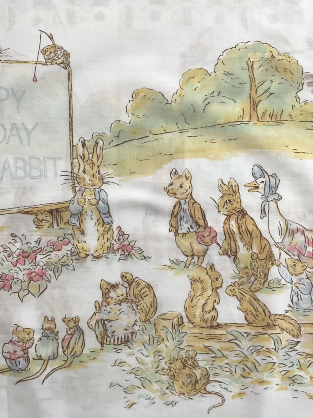 Vintage Cannon Peter Rabbit Birthday Pillowcase Beatrix Potter USA